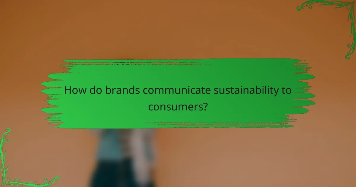 How do brands communicate sustainability to consumers?