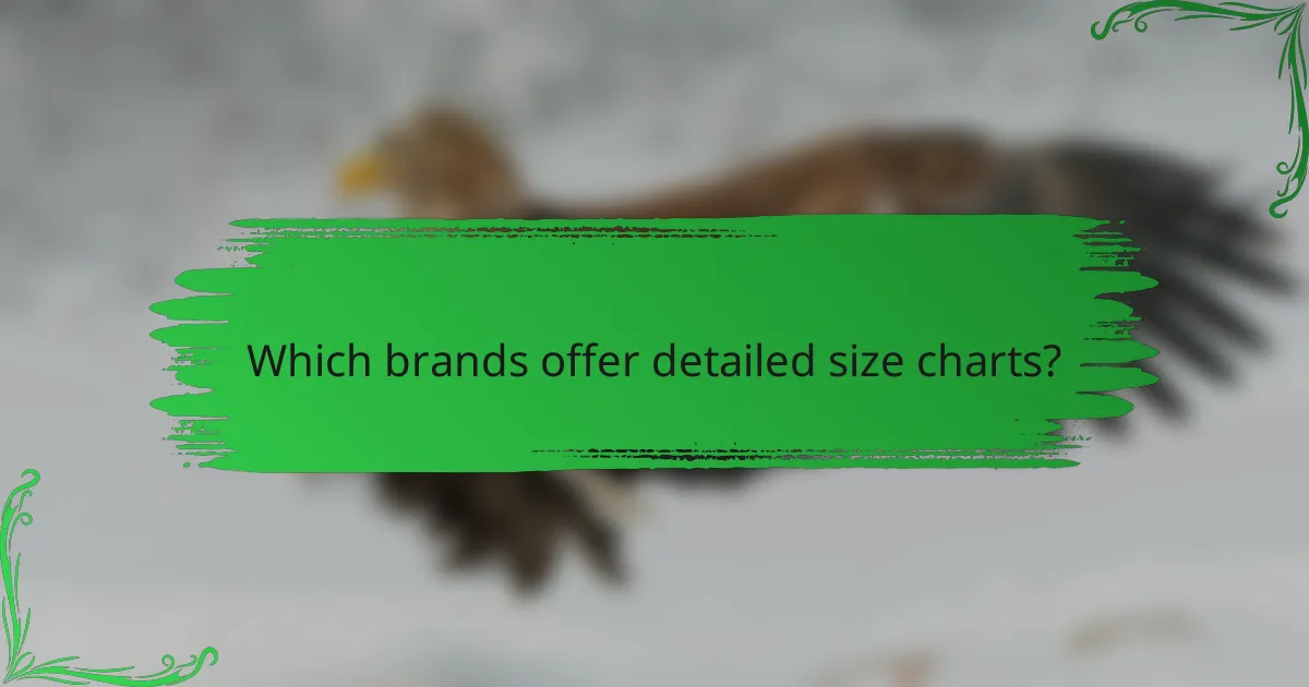 Which brands offer detailed size charts?